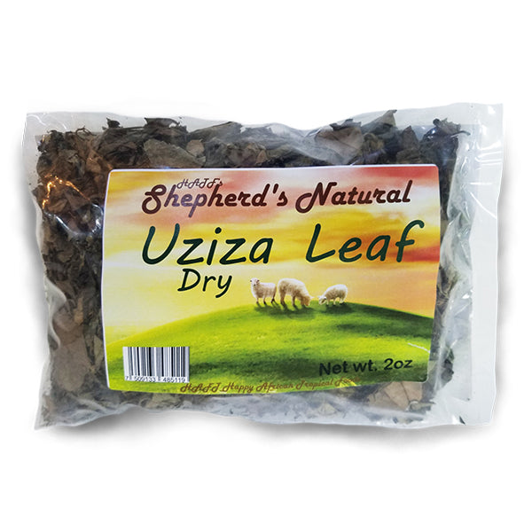Uziza Leaves from Everfresh, your African supermarket in Milton Keynes