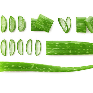 Aloe Vera Leaf from Adam Afro, your African supermarket in Milton Keynes