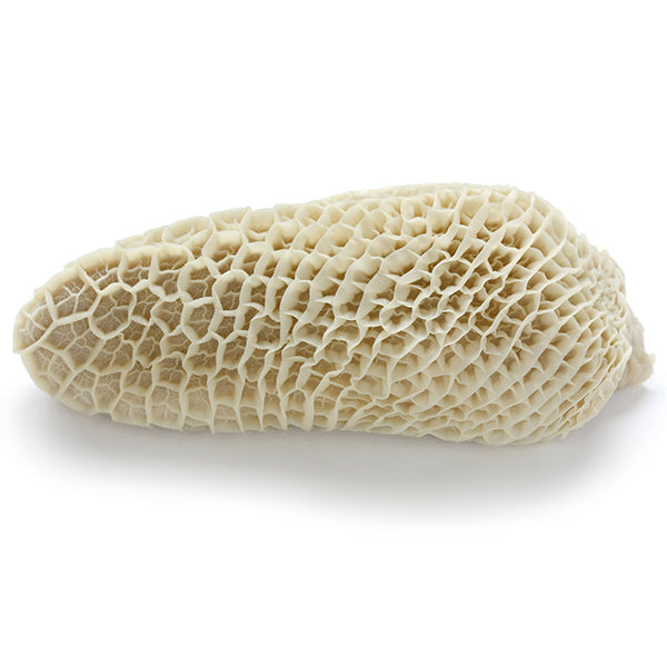 Beef Honeycomb Tripe from Adam Afro, your African supermarket in Milton Keynes