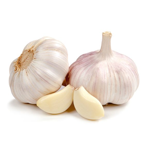 FRESH Garlic PACK OF 3