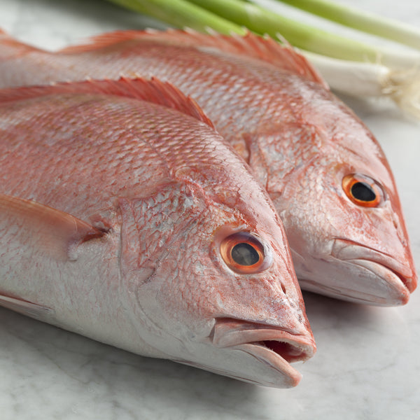 Red Snapper Clean 3P from Everfresh, your African supermarket in Milton Keynes