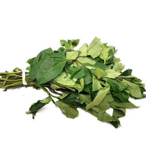 Nigeria-Leaves