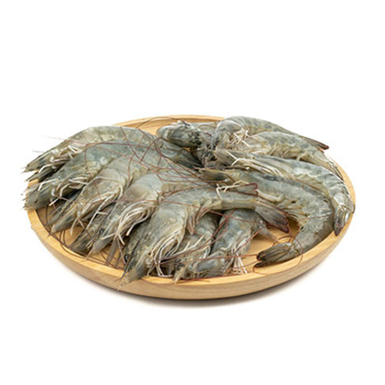 Frozen Prawns and Shrimps