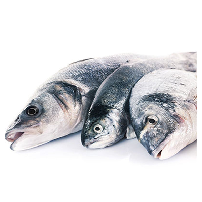 Frozen Fish