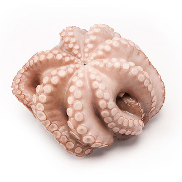 Whole Round Octopus from Adam Afro, your African supermarket in Milton Keynes