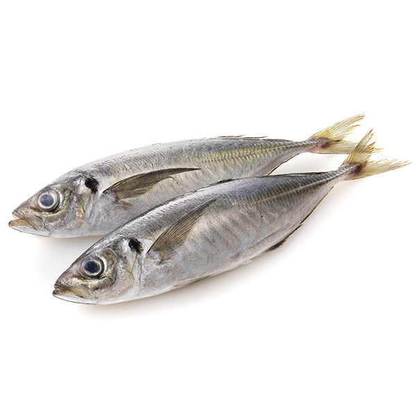 Horse Mackerel from Adam Afro, your African supermarket in Milton Keynes