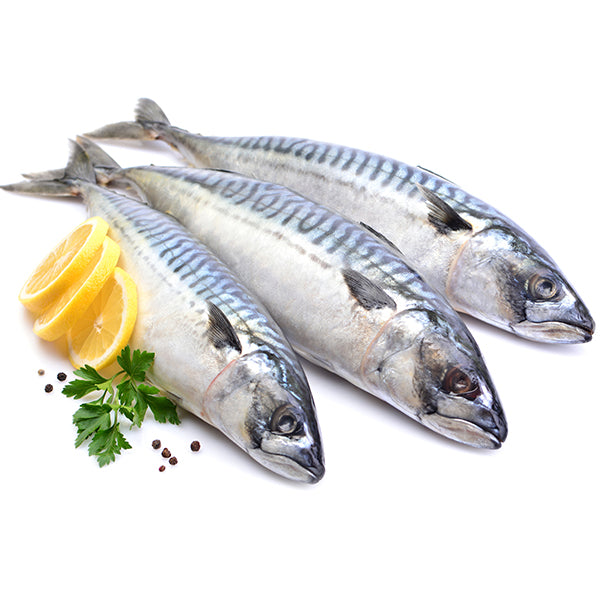 Mackerel Fish ( Titus 300-500 ) from Adam Afro, your African supermarket in Milton Keynes