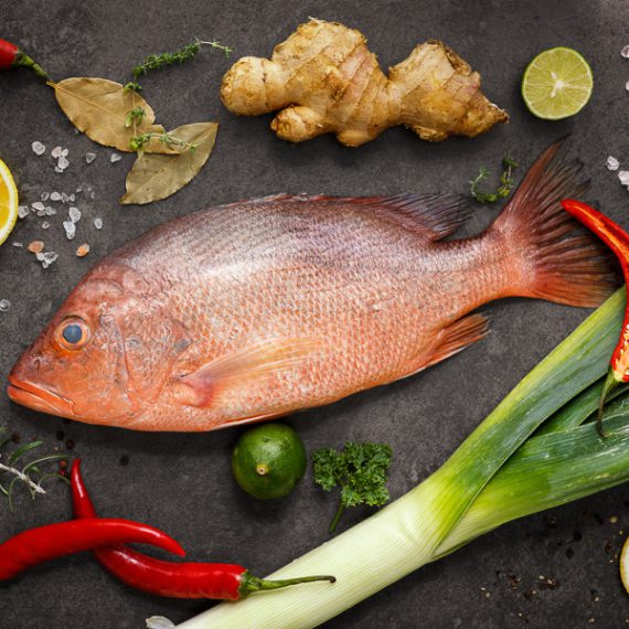 Red Snapper Unclean