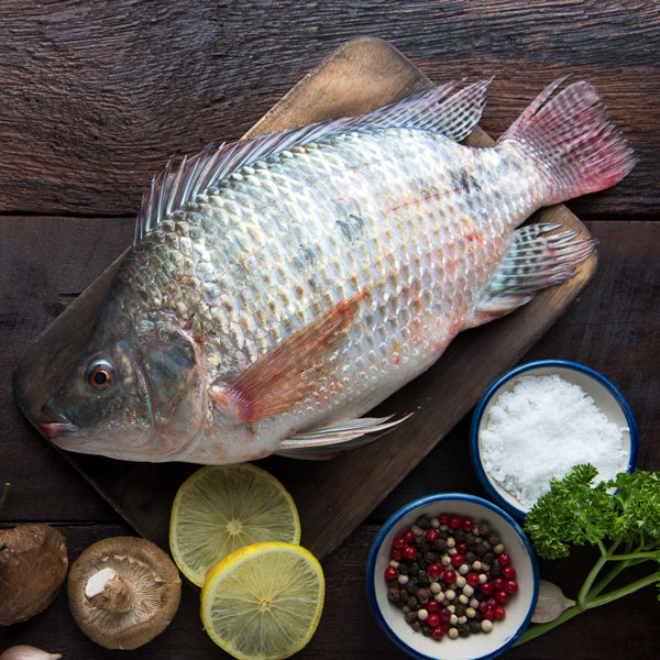 Tilapia from Adam Afro, your African supermarket in Milton Keynes
