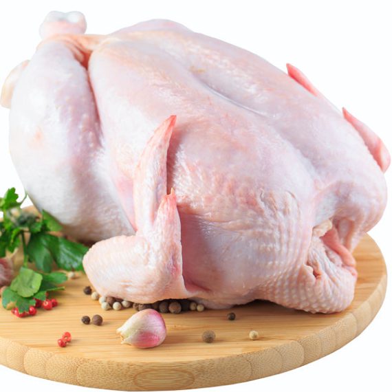 Baby Chicken