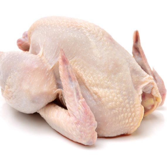 Hen/Hard Chicken